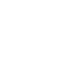 Apple icon